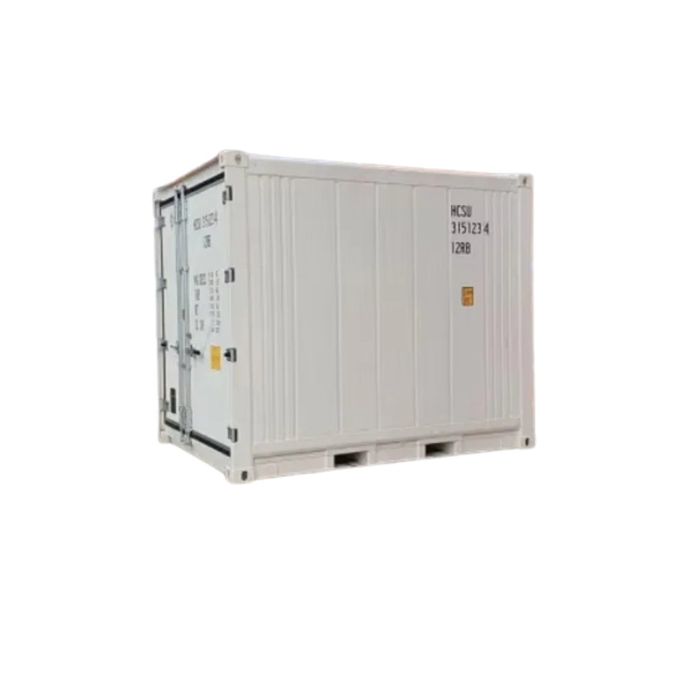 Container frigorifero 10 piedi bianco usato